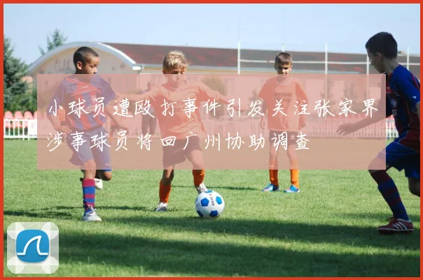 小球员遭殴打事件引发关注张家界涉事球员将回广州协助调查