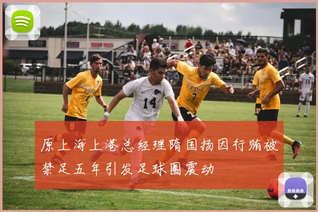 原上海上港总经理隋国扬因行贿被禁足五年引发足球圈震动