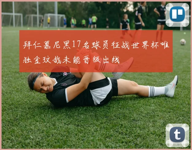 拜仁慕尼黑17名球员征战世界杯唯独金玟哉未能晋级出线